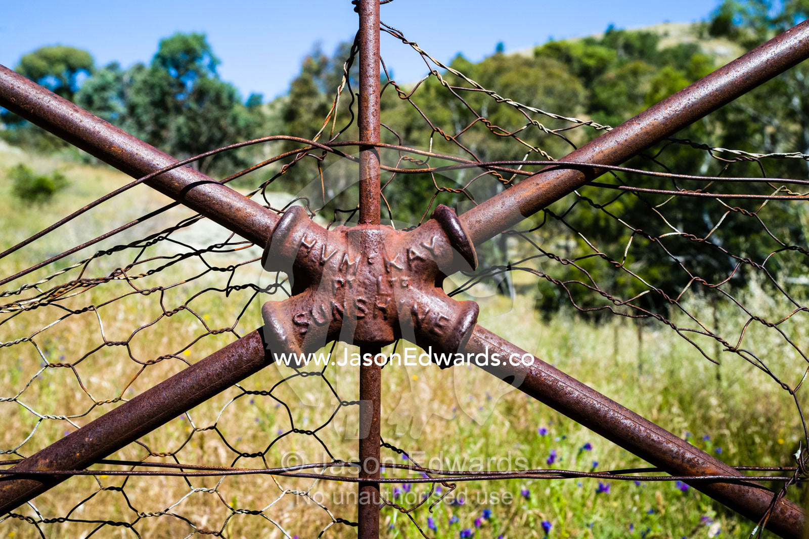 A rare antique Sunshine steel gate between farm paddocks. Euroa, Strathbogie, Victoria, Australia.