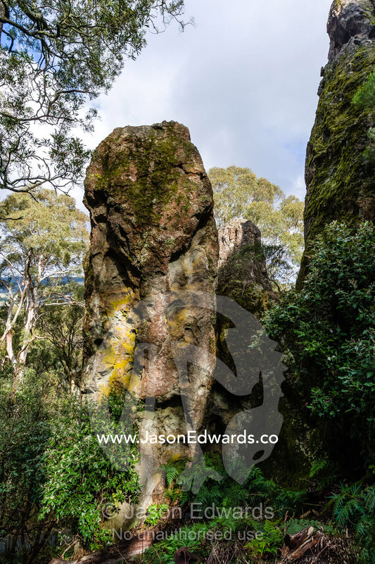A rock pillar made of solvsbergite emerges from the forest in dappled sunlight. Hanging Rock Recreation Reserve, Woodend, Victoria, Australia.