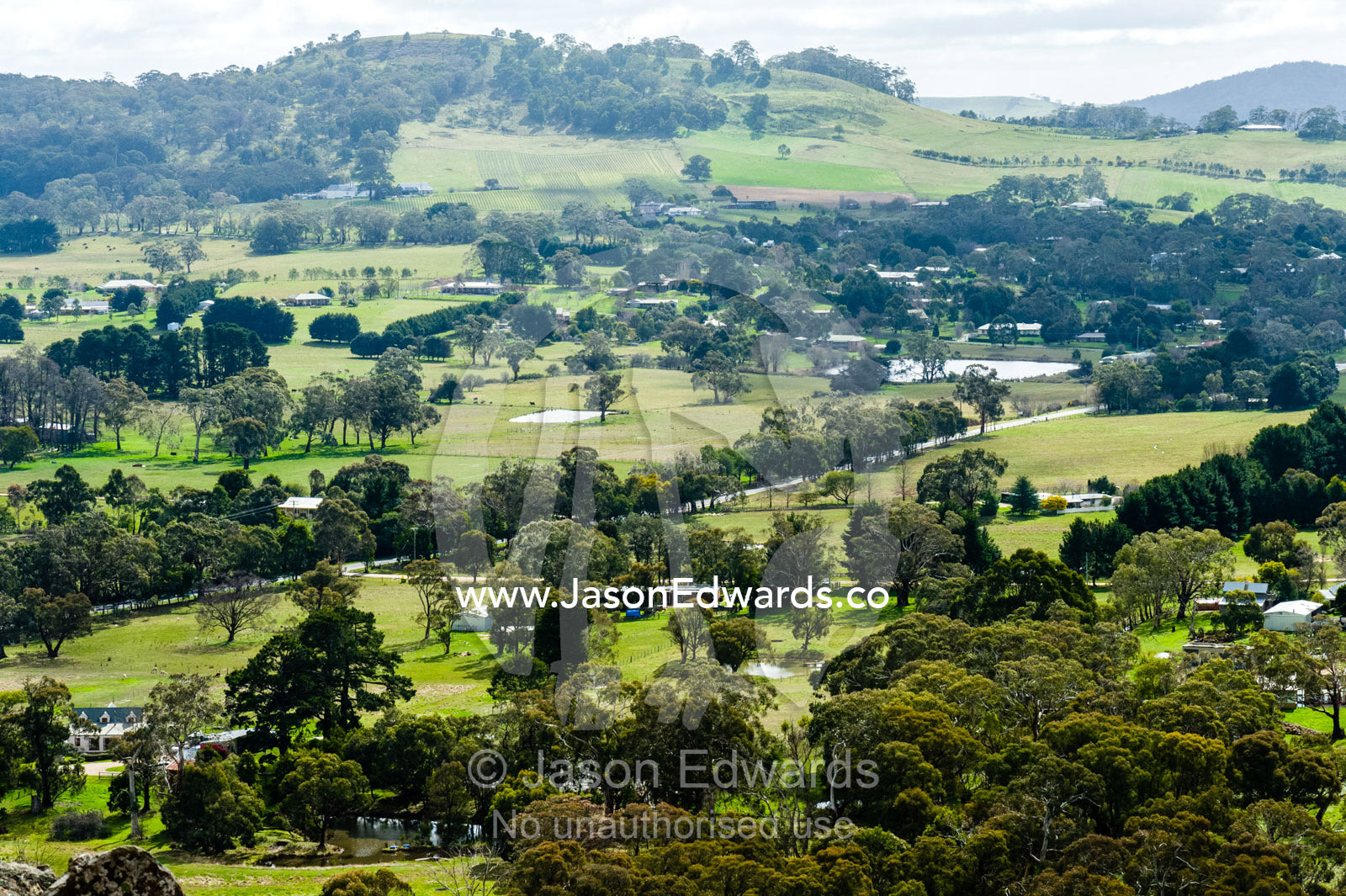 Eucalyptus trees scattered across fertile rolling farmland and farmhouses. Hanging Rock Recreation Reserve, Woodend, Victoria, Australia.