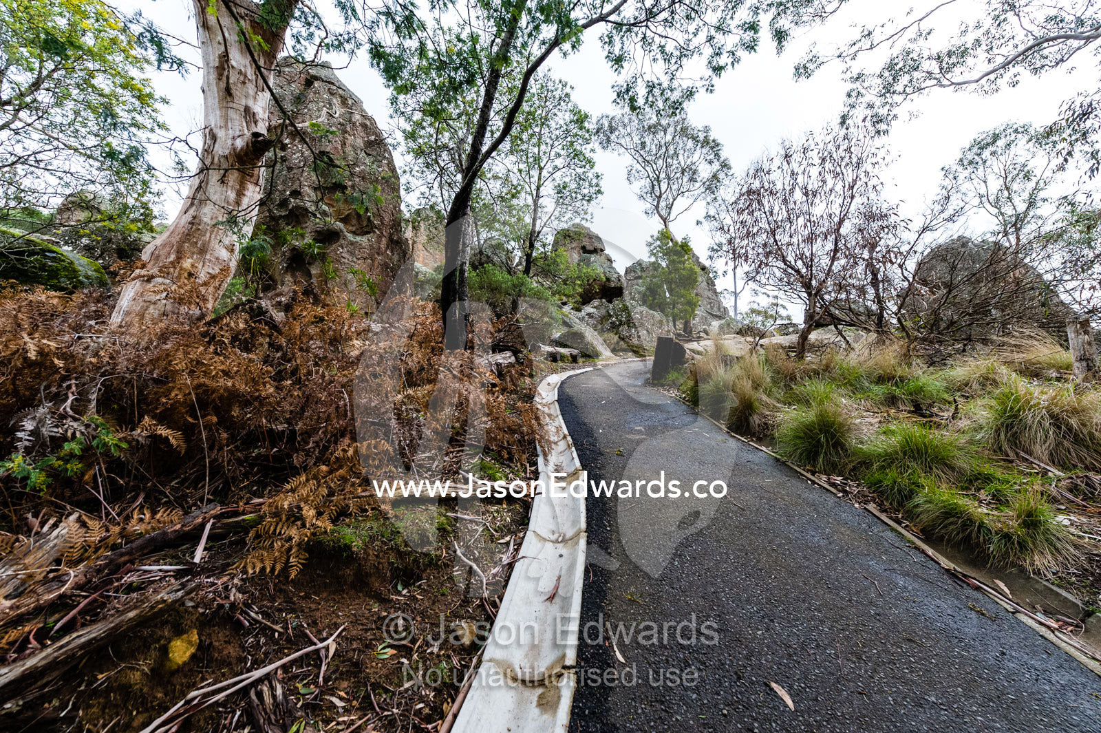 A walking path through a forest surrounding a rock pillar made of solvsbergite. Hanging Rock Recreation Reserve, Woodend, Victoria, Australia.