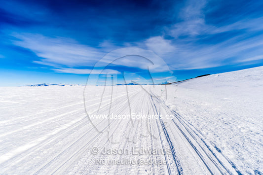 Hagglund snow vehicle tracks cross a vast snow plain on top of the Ross Ice Shelf Windless Bight, Ross Ice Shelf, Ross Island, Antarctica