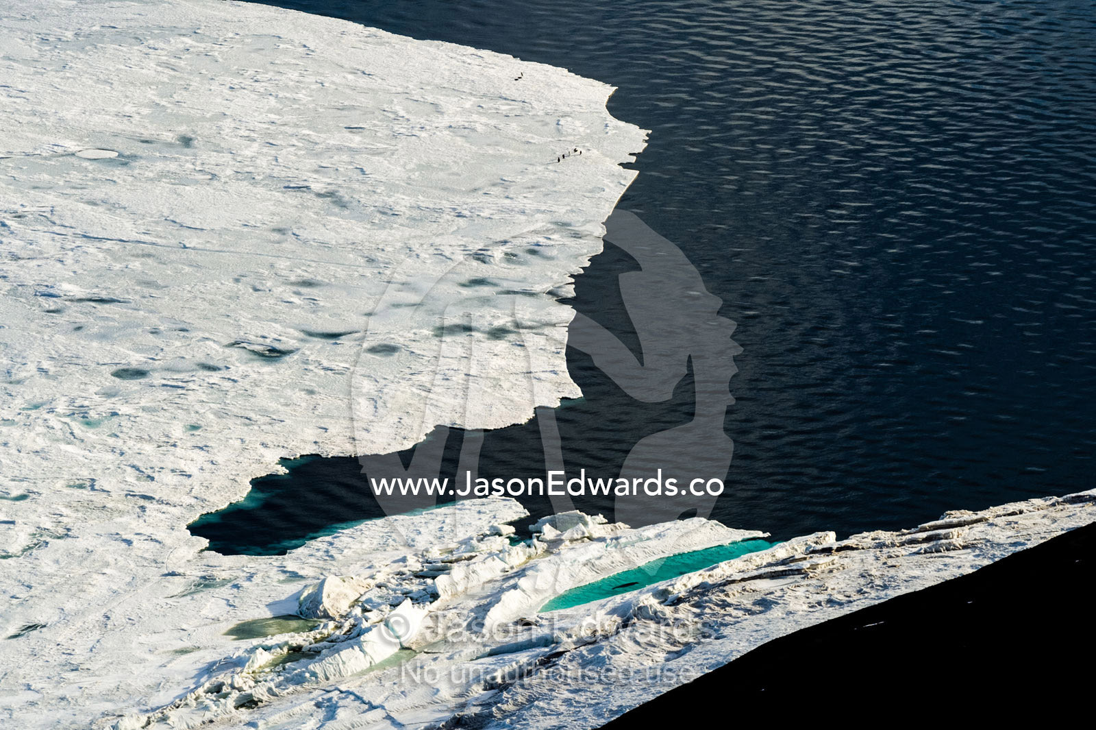 The melting edge of sea ice where it meets the open ocean during the Antarctic summer. Haskell Strait, McMurdo Sound, Ross Sea, Ross Island, Antarctica