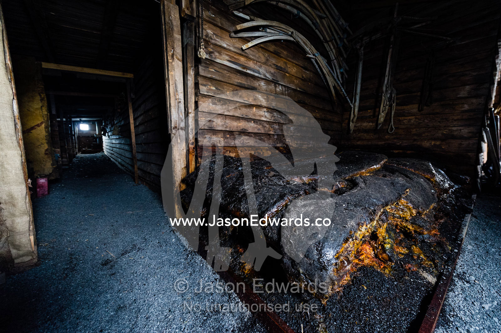 Seal blubber for cooking and heating in the hut of Antarctic explorer Robert Falcon Scott. Scott's Hut, Cape Evans, Ross Island, Antarctica.