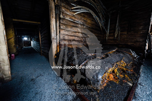Seal blubber for cooking and heating in the hut of Antarctic explorer Robert Falcon Scott. Scott's Hut, Cape Evans, Ross Island, Antarctica.