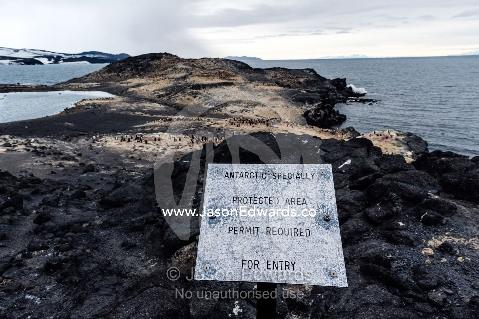 A warning sign for an ASPA Antarctic Specially Protected Area near an Adelie Penguin colony. Shackleton's Hut, Cape Royds, Ross Island, Antarctica.