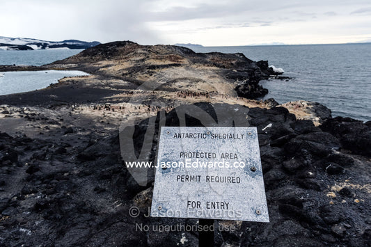 A warning sign for an ASPA Antarctic Specially Protected Area near an Adelie Penguin colony. Shackleton's Hut, Cape Royds, Ross Island, Antarctica.