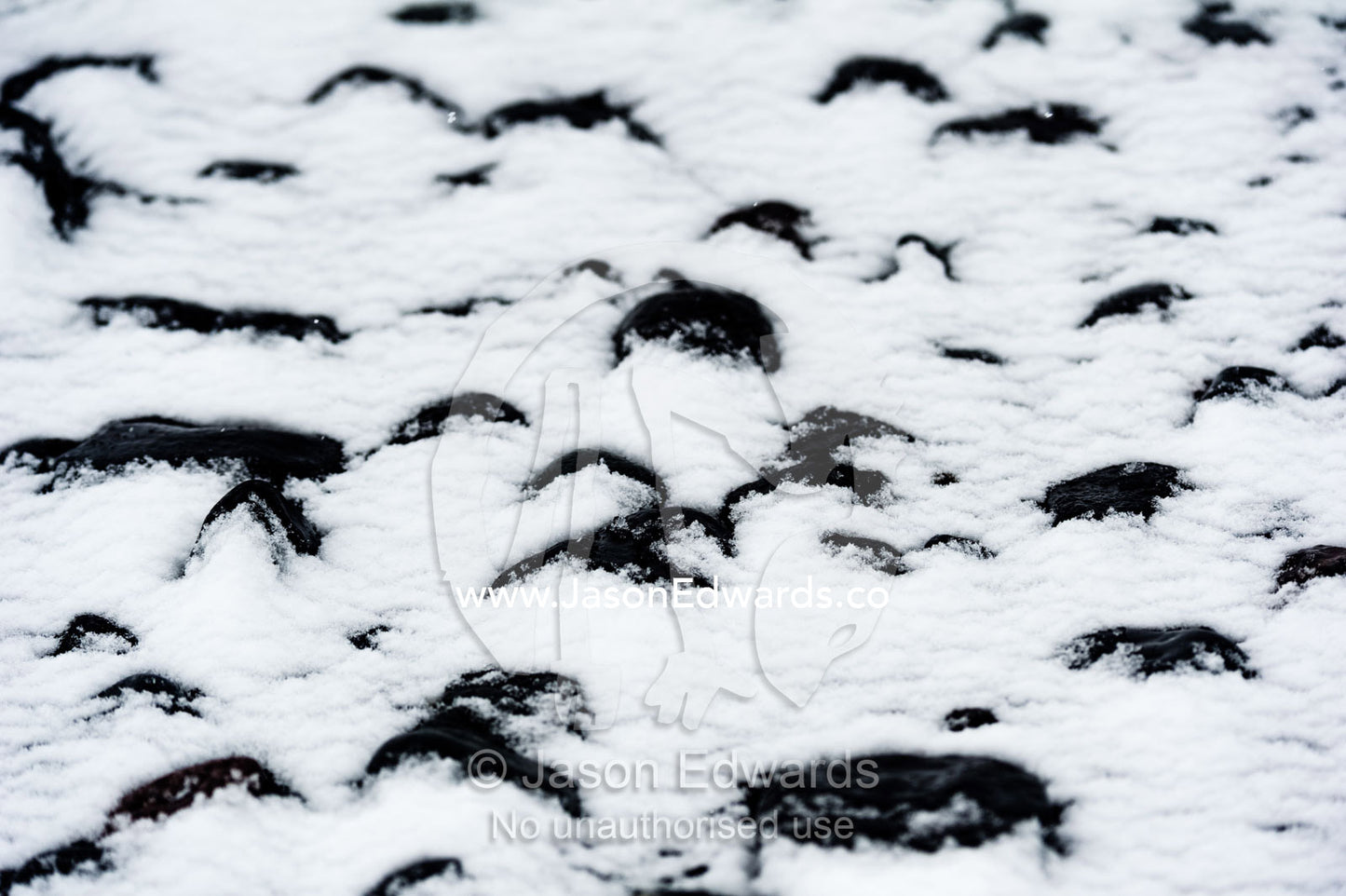 Black volcanic pebbles covered in snow on a beach in Antarctica. Caughley Beach, Cape Bird, Ross Island, Antarctica