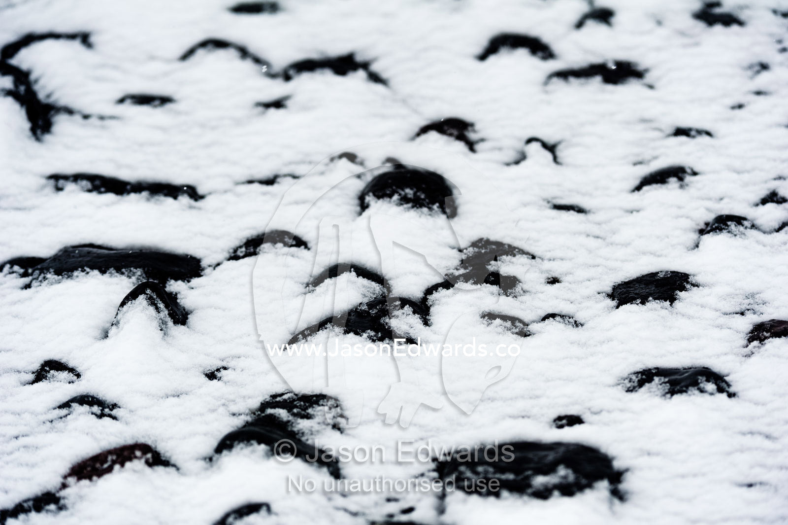 Black volcanic pebbles covered in snow on a beach in Antarctica. Caughley Beach, Cape Bird, Ross Island, Antarctica