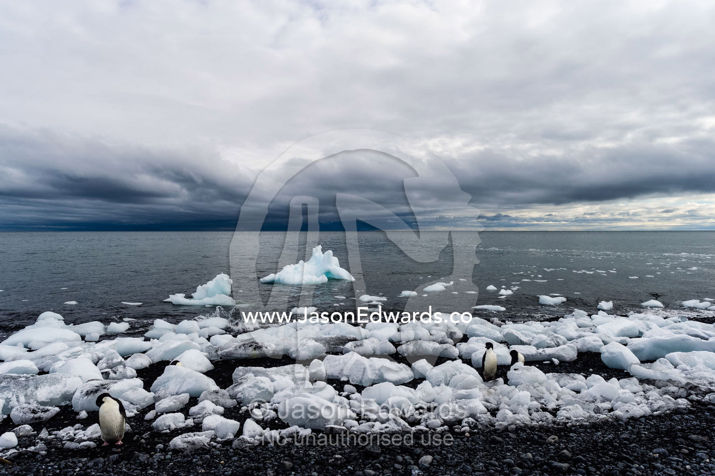 Blocks of ice from a glacier gather along a volcanic beach in Antarctica. Caughley Beach, Cape Bird, Ross Island, Antarctica.