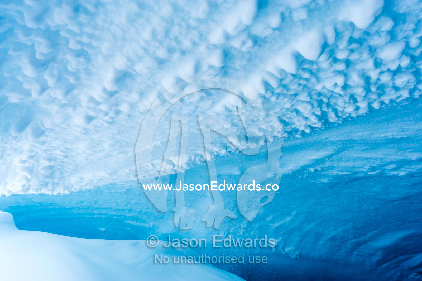 The frozen ceiling and icy walls of an ice cave in the Erebus Glacier Tongue. Erebus Ice Caves, Mount Erebus, Ross Island, Antarctica.