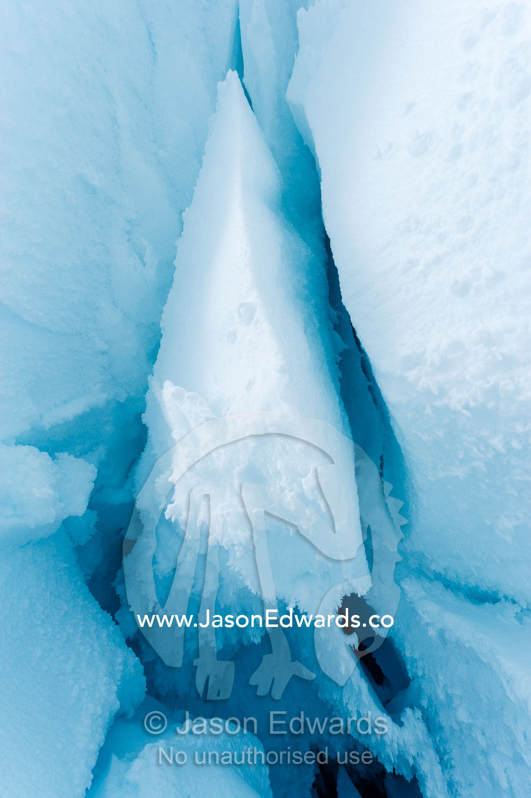 The frozen ceiling and icy walls of an ice cave in the Erebus Glacier Tongue. Erebus Ice Caves, Mount Erebus, Ross Island, Antarctica.