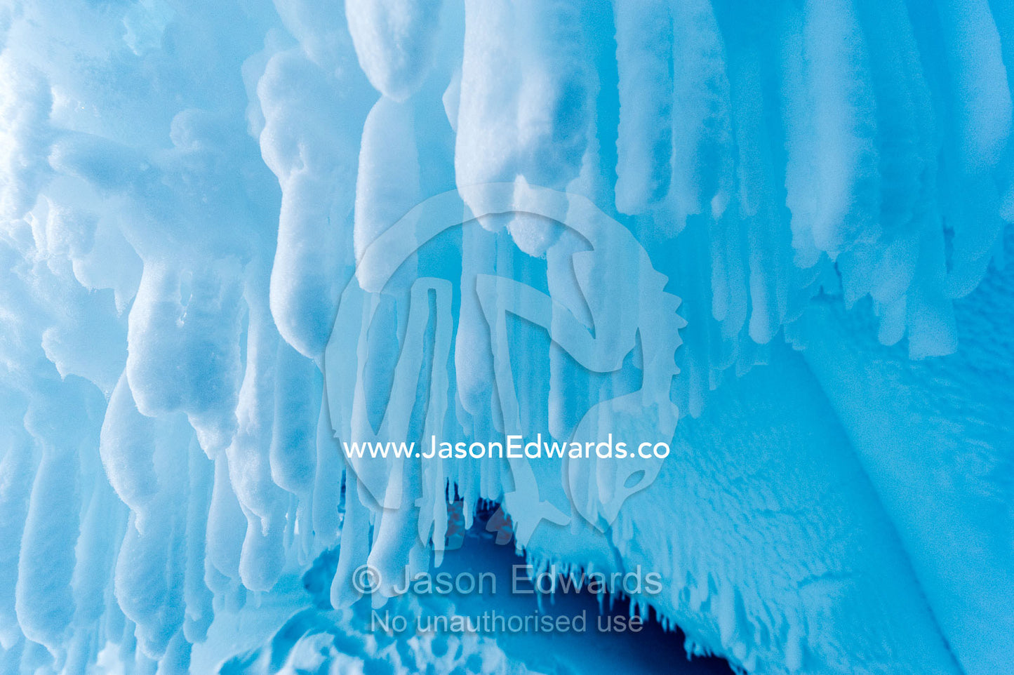 The frozen ceiling and icy walls of an ice cave in the Erebus Glacier Tongue. Erebus Ice Caves, Mount Erebus, Ross Island, Antarctica.