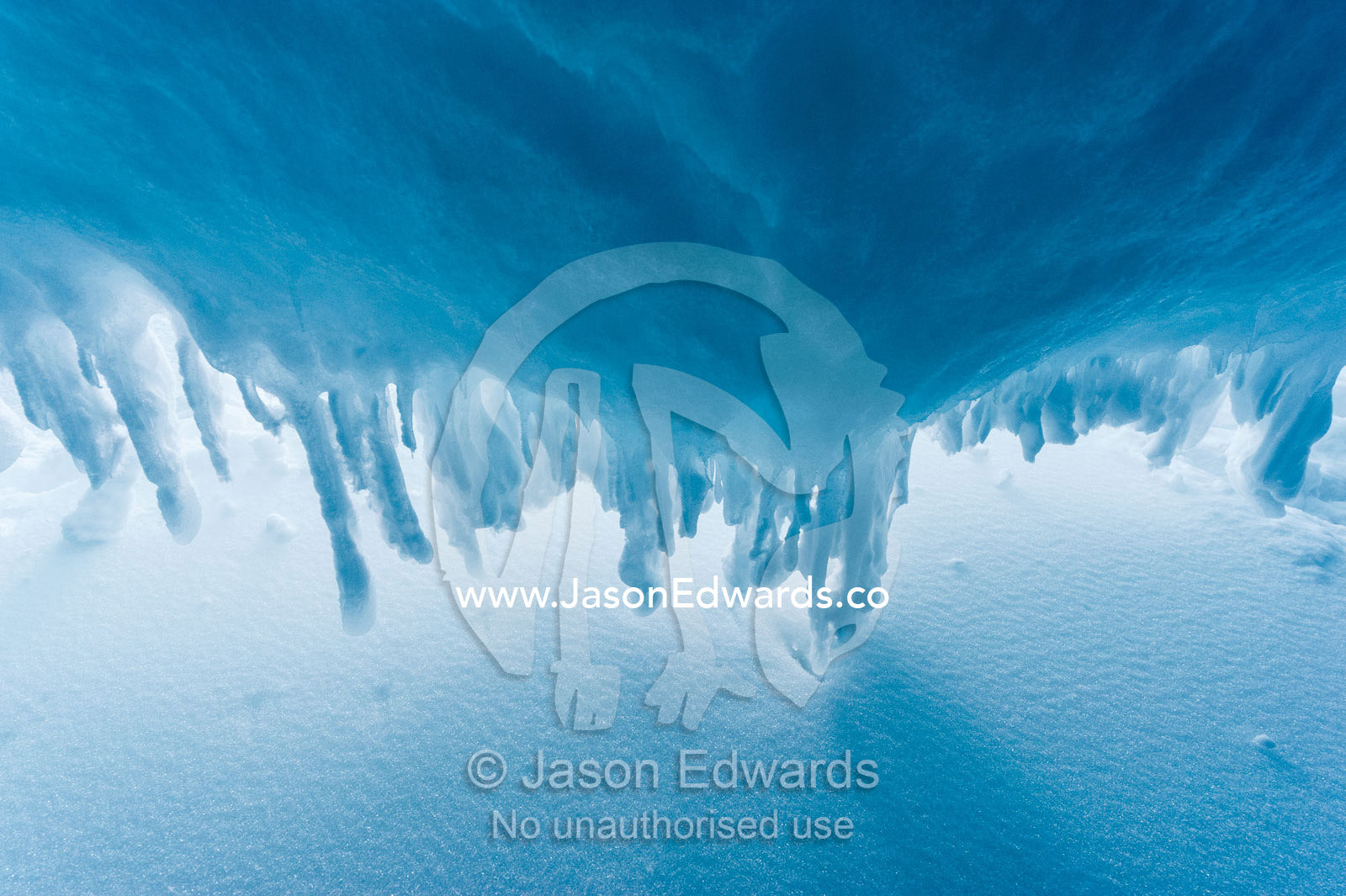 The frozen ceiling and icy walls of an ice cave in the Erebus Glacier Tongue. Erebus Ice Caves, Mount Erebus, Ross Island, Antarctica.