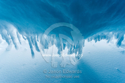 The frozen ceiling and icy walls of an ice cave in the Erebus Glacier Tongue. Erebus Ice Caves, Mount Erebus, Ross Island, Antarctica.