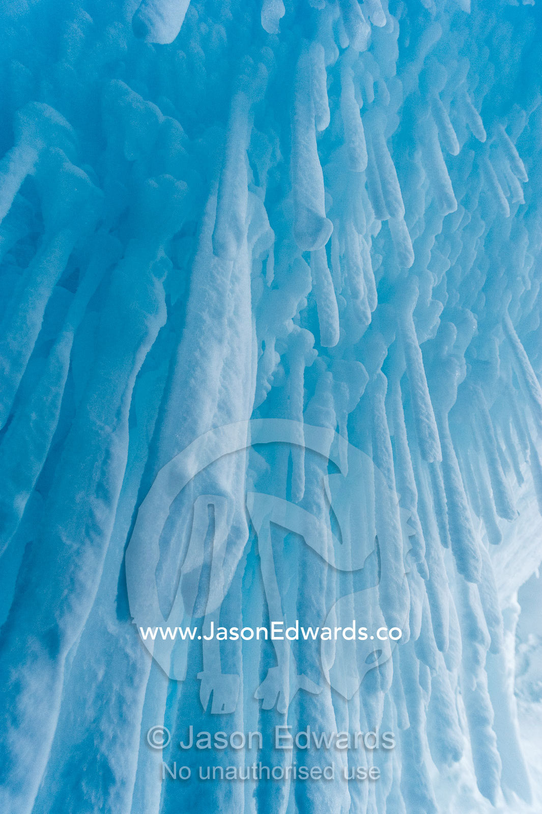 The frozen ceiling and icy walls of an ice cave in the Erebus Glacier Tongue. Erebus Ice Caves, Mount Erebus, Ross Island, Antarctica.