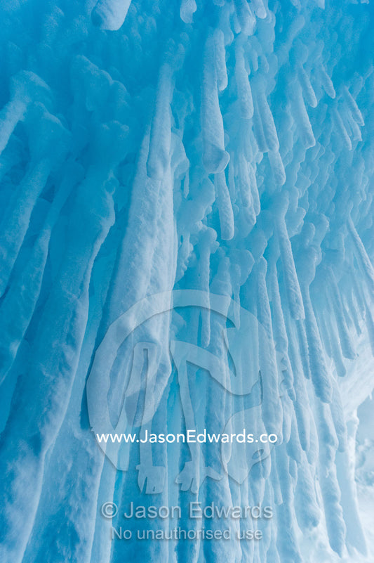 The frozen ceiling and icy walls of an ice cave in the Erebus Glacier Tongue. Erebus Ice Caves, Mount Erebus, Ross Island, Antarctica.