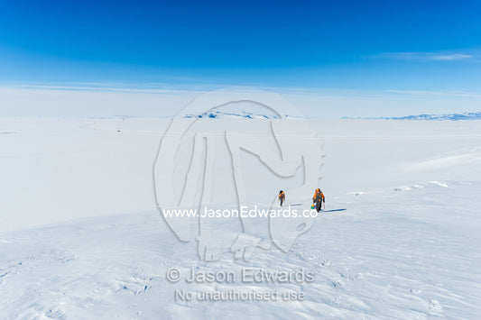 Ice guides hiking across a crevasse field on the slopes of Mount Erebus above the Ross Ice Shelf in Antarctica. Silver City Ice Fall, Hut Point Peninsula, Ross Island Antarctica.