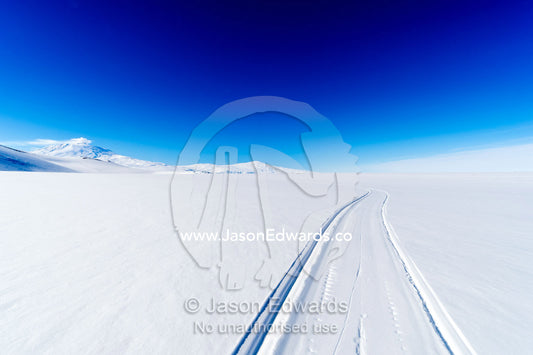 Skiddoo tracks cross the snow on the vast barren Ross Ice Shelf. Windless Bight, Ross Ice Shelf, Ross Island, Antarctica.