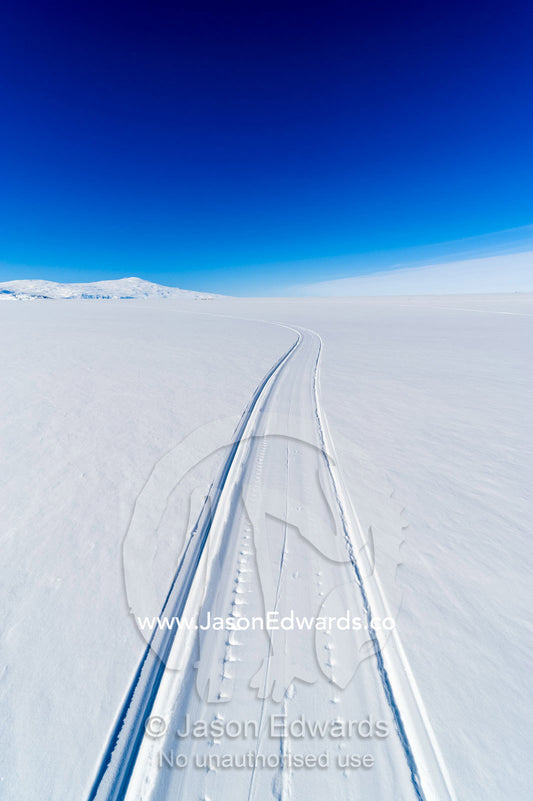 Skiddoo tracks cross the snow on the vast barren Ross Ice Shelf. Windless Bight, Ross Ice Shelf, Ross Island, Antarctica.