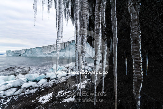 Icicles hang from the tip of a glacier in Antarctica. Cape Bird Ice Cap, Adelie Glacier, Cape Bird, Ross Island, Antarctica.