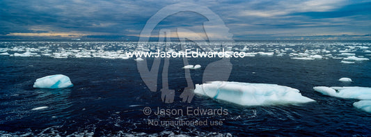 Icebergs float on the ocean surface after falling from the fracture zone of a glacier. Caughley Beach, Ross Sea, Cape Bird, Ross Island, Antarctica.