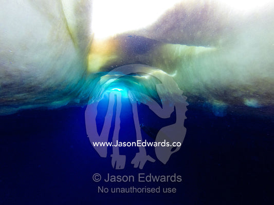 A Weddell Seal hovers beneath a hole in the sea ice where it can surface to breathe. Hutton Cliffs, Erebus Bay, McMurdo Sound, Ross Island, Antarctica.