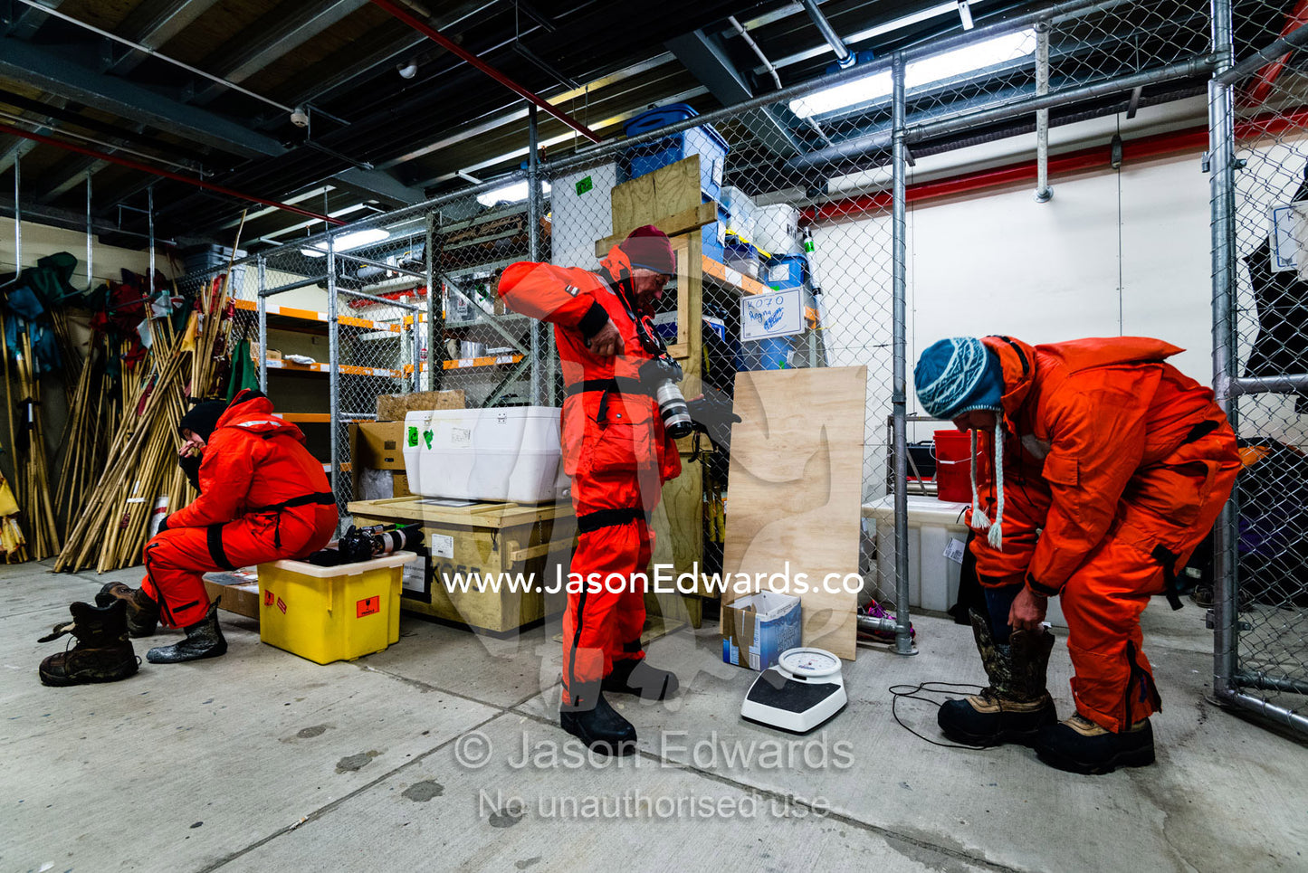 Researchers dress in survival suits to work with Killer Whales on the sea ice edge. Scott Base, Pram Point, Hut Point Peninsula, Ross Island, Antarctica.