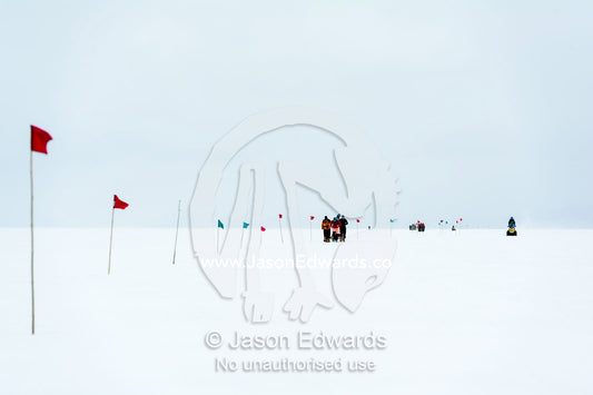Teams of staff from Antarctic bases compete in a man haul race towing sleds across the frozen sea ice. Cape Armitage, McMurdo Sound, Ross Island, Antarctica.