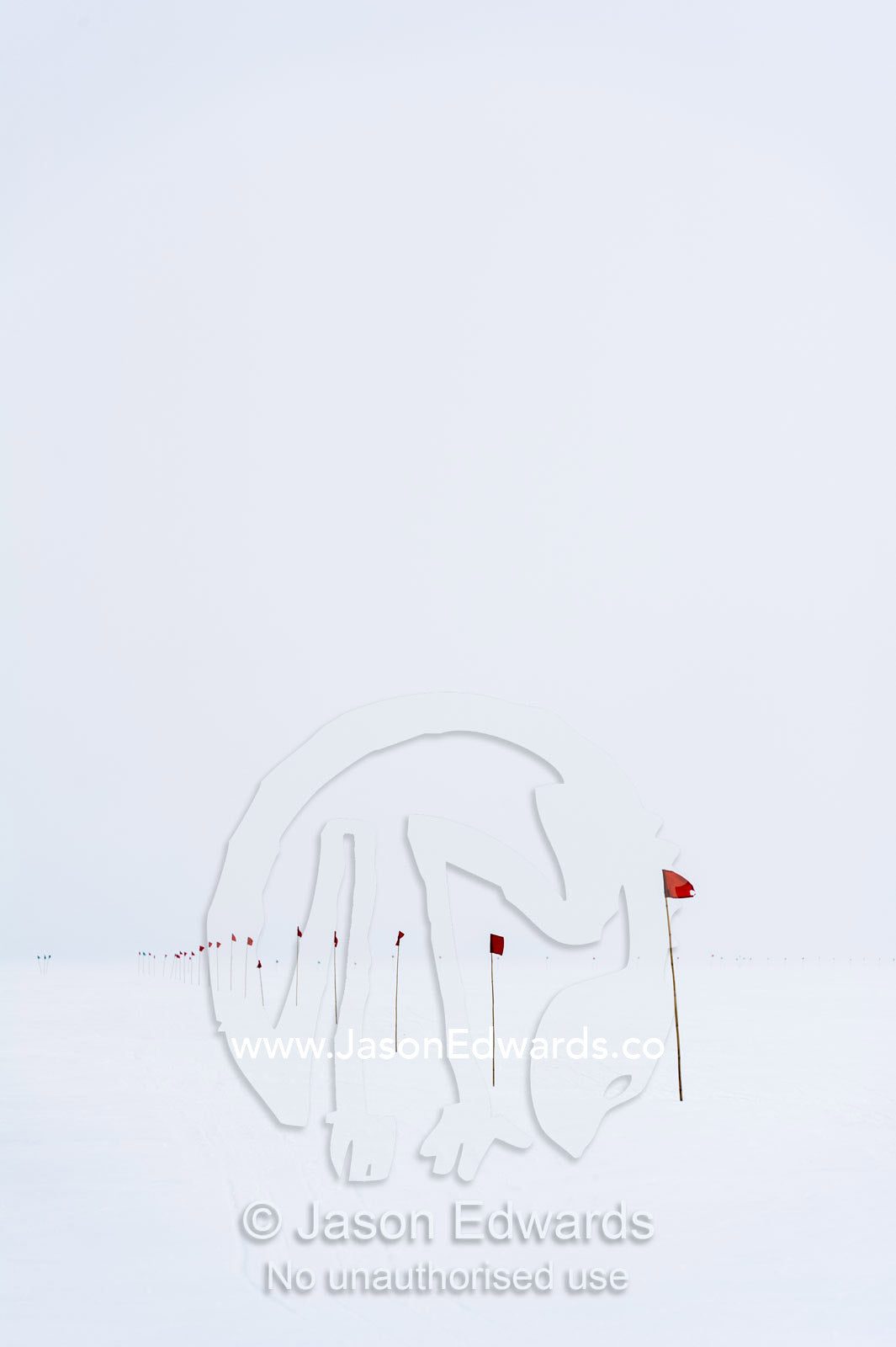 A red flag highlights a safe route across the sea ice. Cape Armitage, McMurdo Sound, Ross Island, Antarctica.