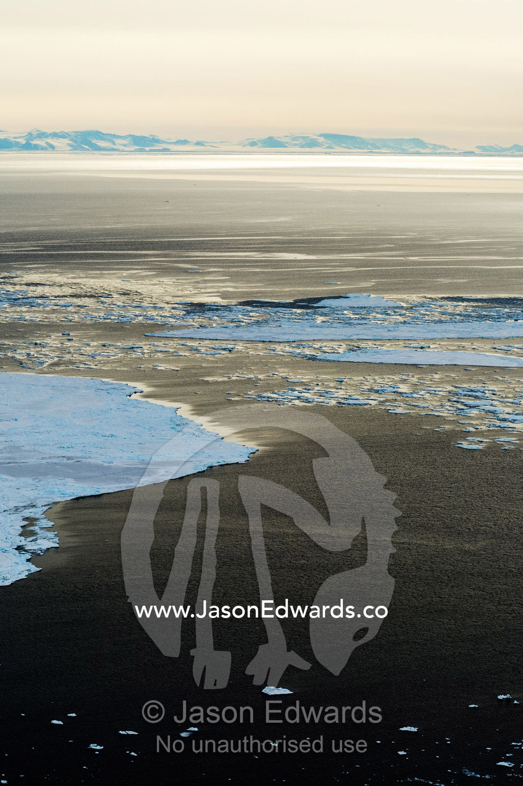 Large plates of sea ice break-up on the open ocean during the Antarctic summer. McMurdo Sound, Ross Sea, Antarctica.