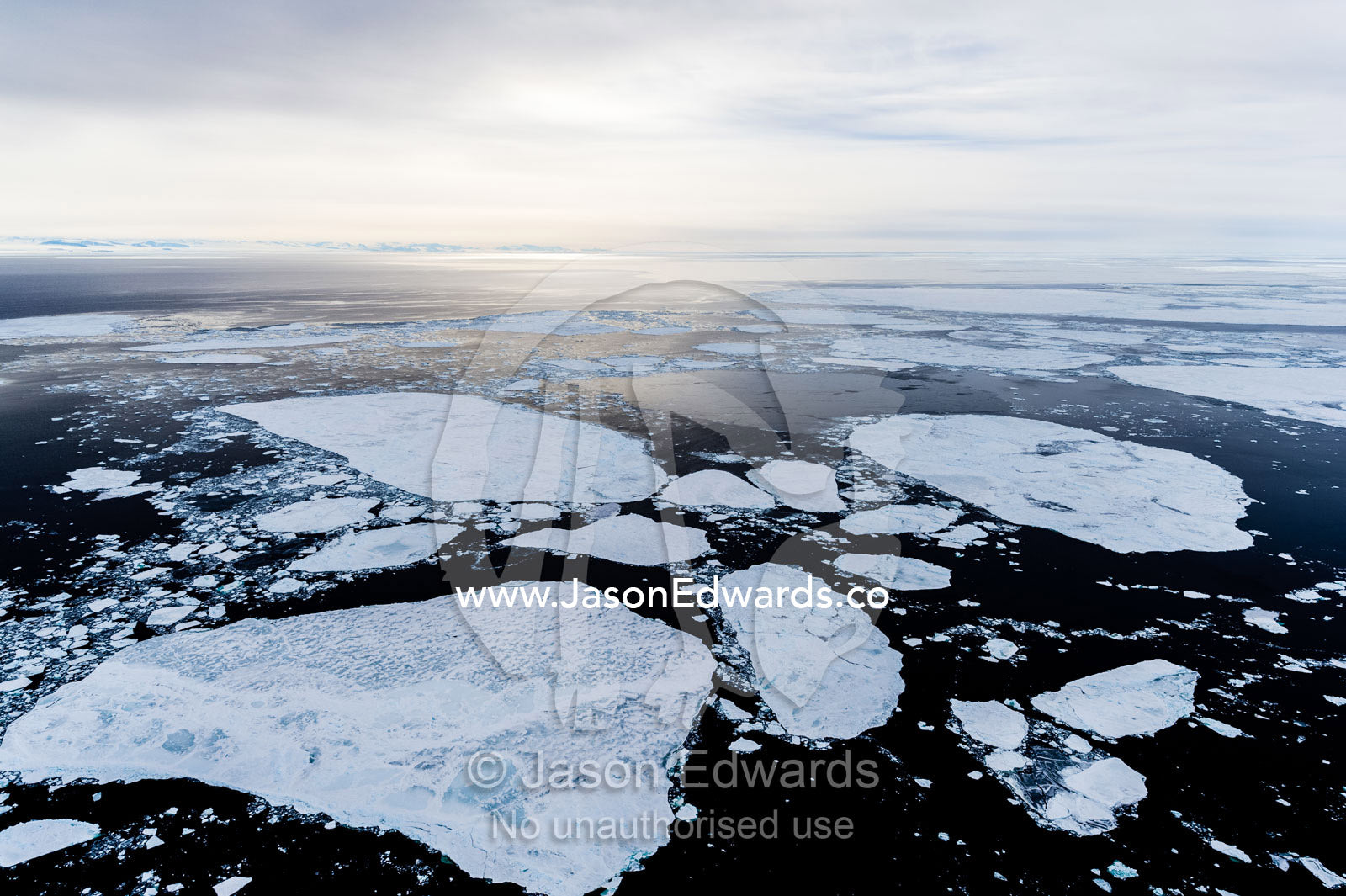 Large plates of sea ice break-up on the open ocean during the Antarctic summer. McMurdo Sound, Ross Sea, Antarctica.