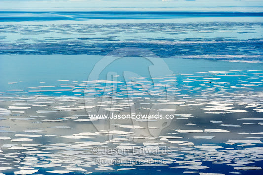 Sunlight and clouds reflecting off the ocean surface between icebergs. McMurdo Sound, Ross Island, Antarctica.