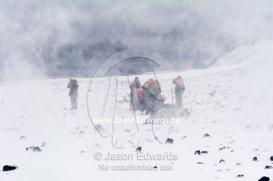 Researchers stand in a cloud of snow from a helicopter on a beach in Antarctica. Caughley Beach, Cape Bird, Ross Island, Antarctica.