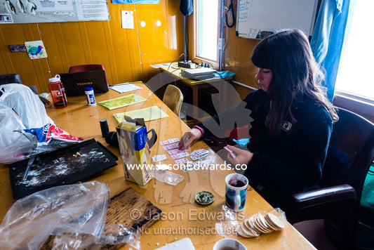 A volunteer plays cards to pass the time in a remote research station in Antarctica. Cape Bird, Ross Island, Antarctica.