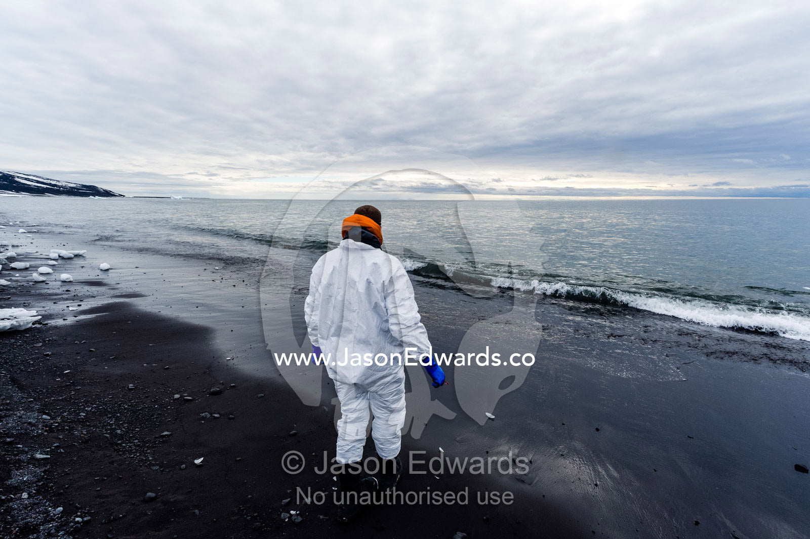 A researcher wearing a safety suit washes his tools in the ocean after collecting samples from a dead Weddell Seal. Caughley Beach, Cape Bird, Ross Island, Antarctica.
