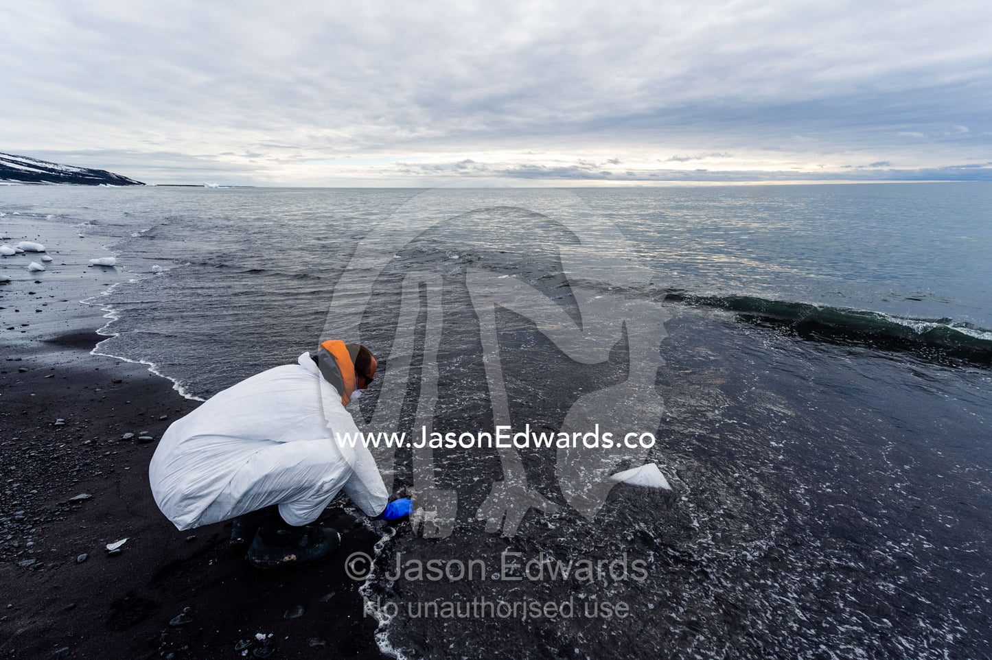 A researcher wearing a safety suit washes his tools in the ocean after collecting samples from a dead Weddell Seal. Caughley Beach, Cape Bird, Ross Island, Antarctica.
