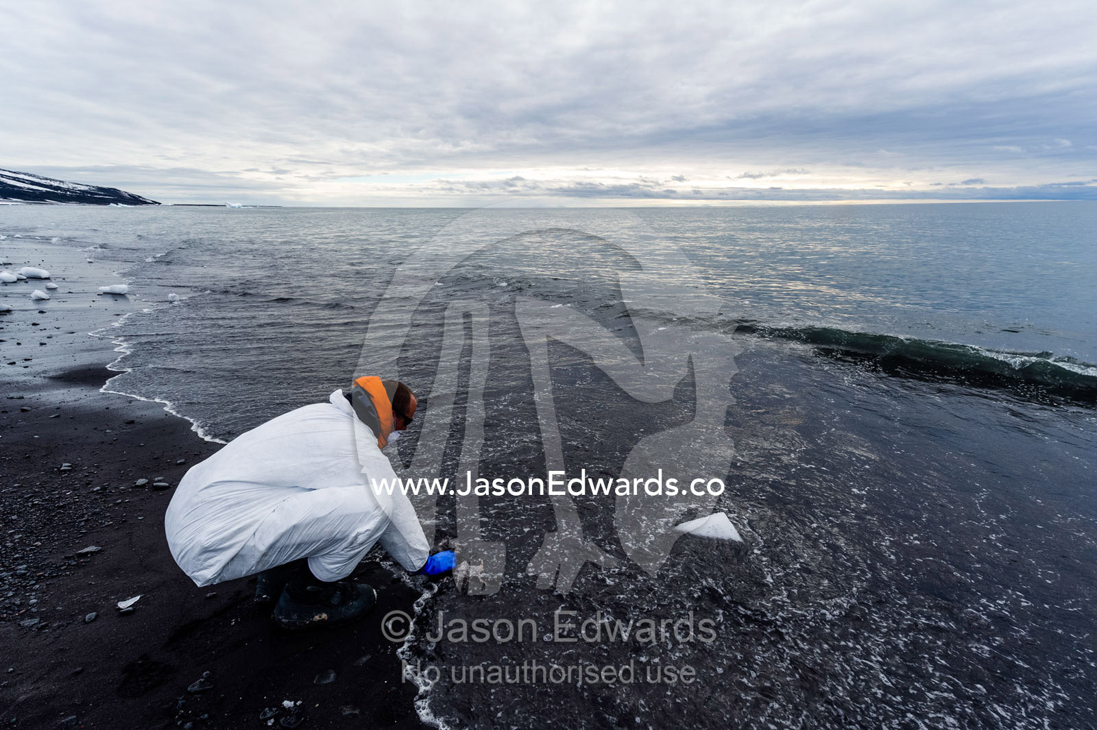 A researcher wearing a safety suit washes his tools in the ocean after collecting samples from a dead Weddell Seal. Caughley Beach, Cape Bird, Ross Island, Antarctica.