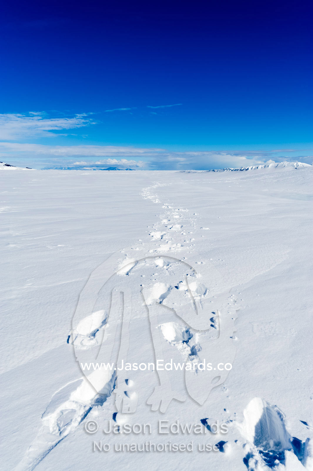 Human footprints cross the pristine snow piled up on the sea ice in Antarctica. Turtle Rock, Erebus Bay, McMurdo Sound, Ross Island, Antarctica.
