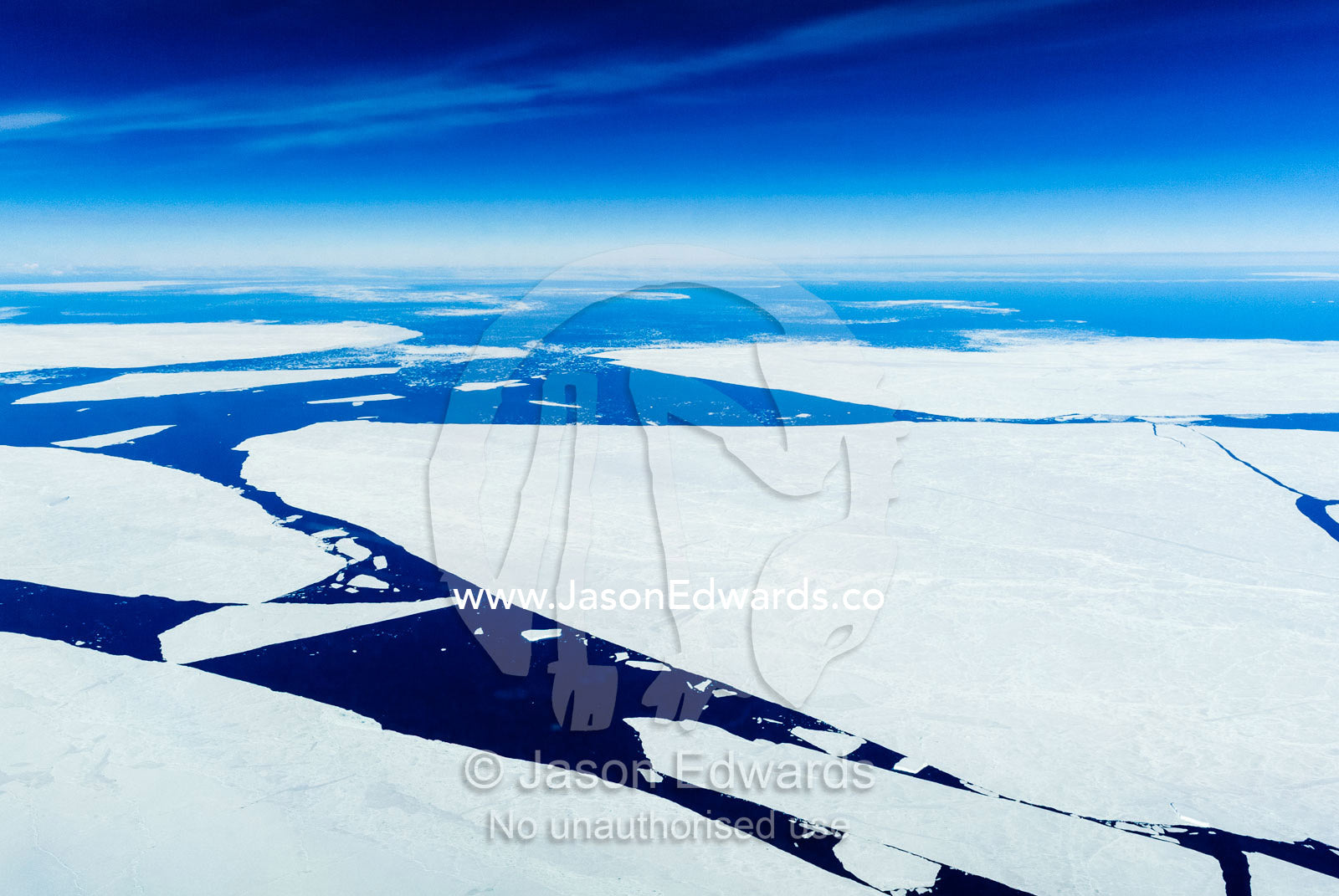 Enormous plates of sea ice floating on the ocean during the Antarctic summer. Ross Sea, Antarctica.