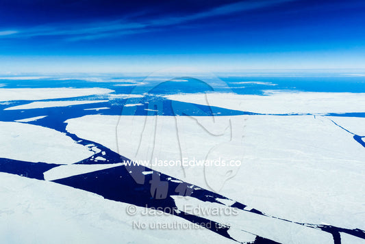 Enormous plates of sea ice floating on the ocean during the Antarctic summer. Ross Sea, Antarctica.