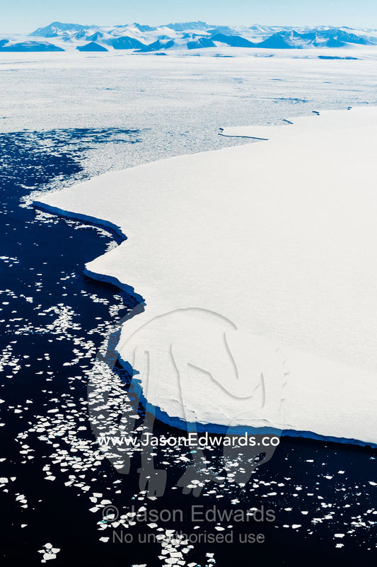 The leading ice edge of a glacier extends across open ocean during the Antarctic summer. Ross Sea, Antarctica.