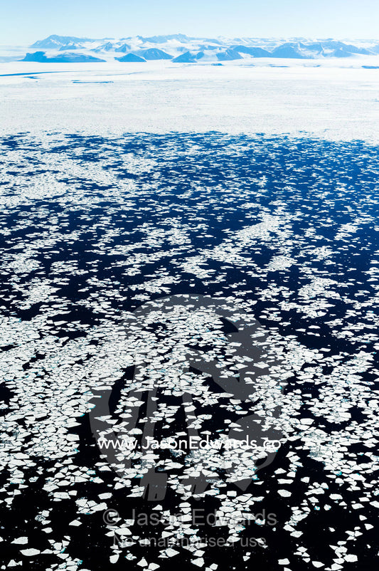 The remnants of sea ice float on the open ocean during the Antarctic summer. McMurdo Sound, Ross Sea, Antarctica.