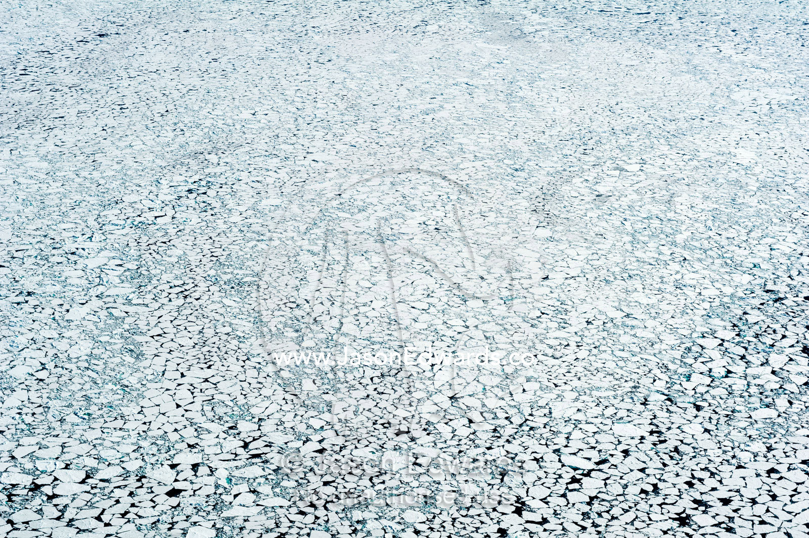 The ocean around Antarctica covered in platelet ice during the summer. Ross Sea, Antarctica.