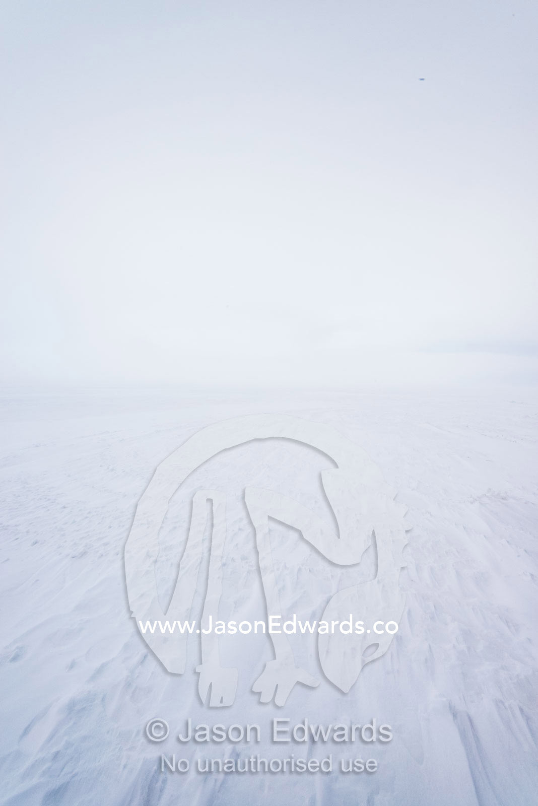 The wind whips snow across the vast sea ice during a blizzard. Haskell Strait, Cape Armitage, McMurdo Sound, Ross Island, Antarctica.