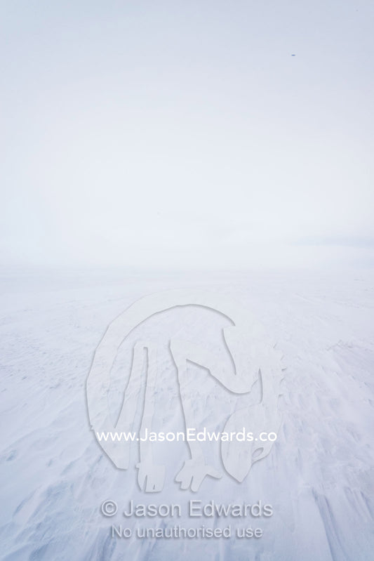 The wind whips snow across the vast sea ice during a blizzard. Haskell Strait, Cape Armitage, McMurdo Sound, Ross Island, Antarctica.