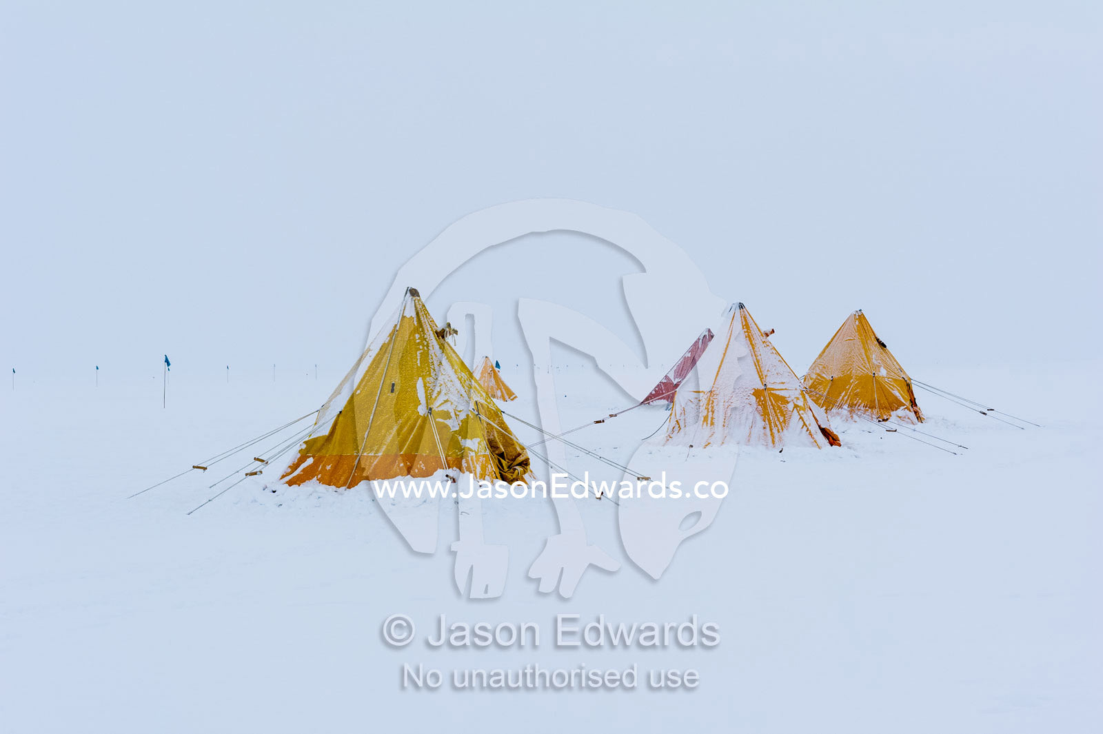 Bright yellow tents in a blizzard lined-up on the Ross Ice Shelf during a survival training course. Windless Bight, Ross Ice Shelf, Ross Island, Antarctica.