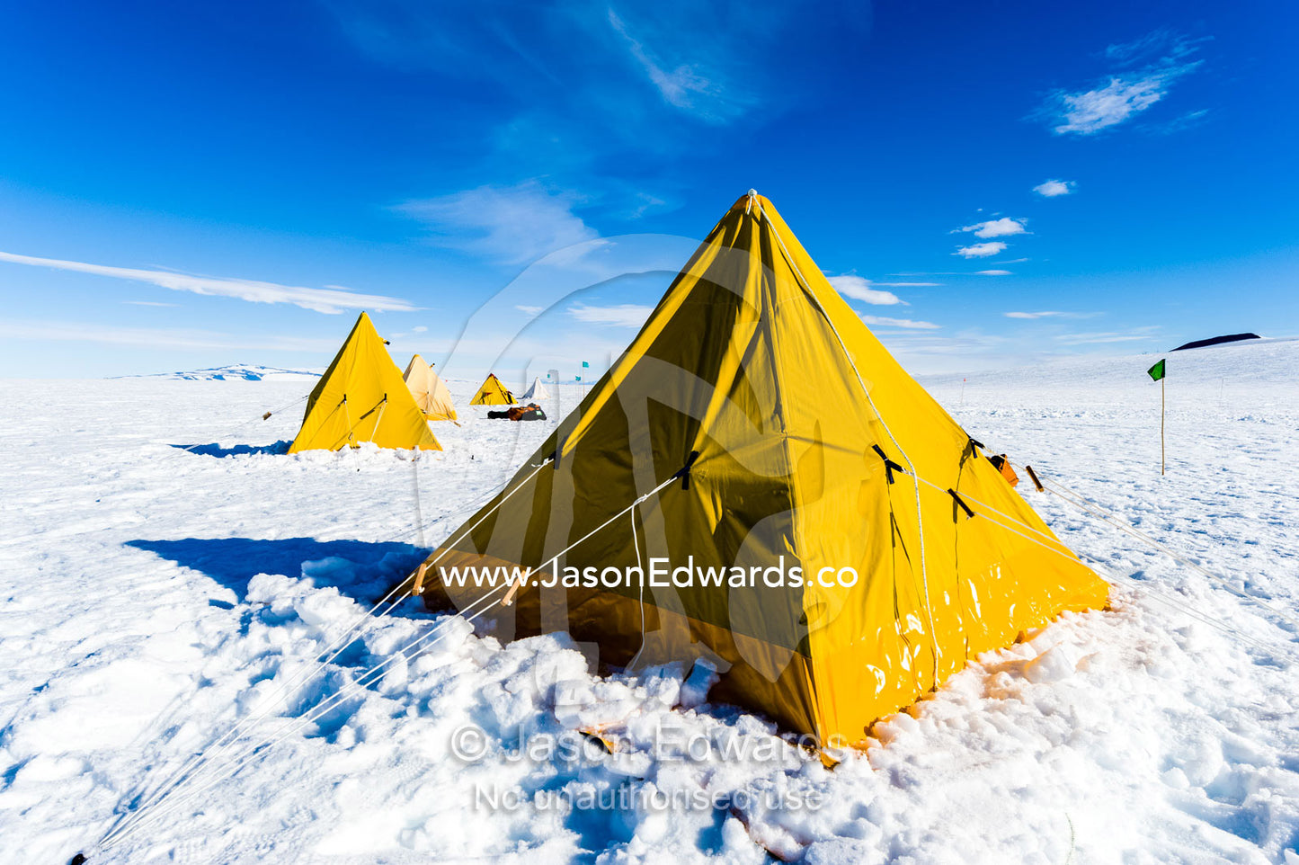 Bright yellow tents lined-up on the Ross Ice Shelf during a survival training course. Windless Bight, Ross Ice Shelf, Ross Island, Antarctica.