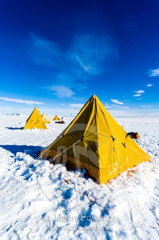 Bright yellow tents lined-up on the Ross Ice Shelf during a survival training course. Windless Bight, Ross Ice Shelf, Ross Island, Antarctica.