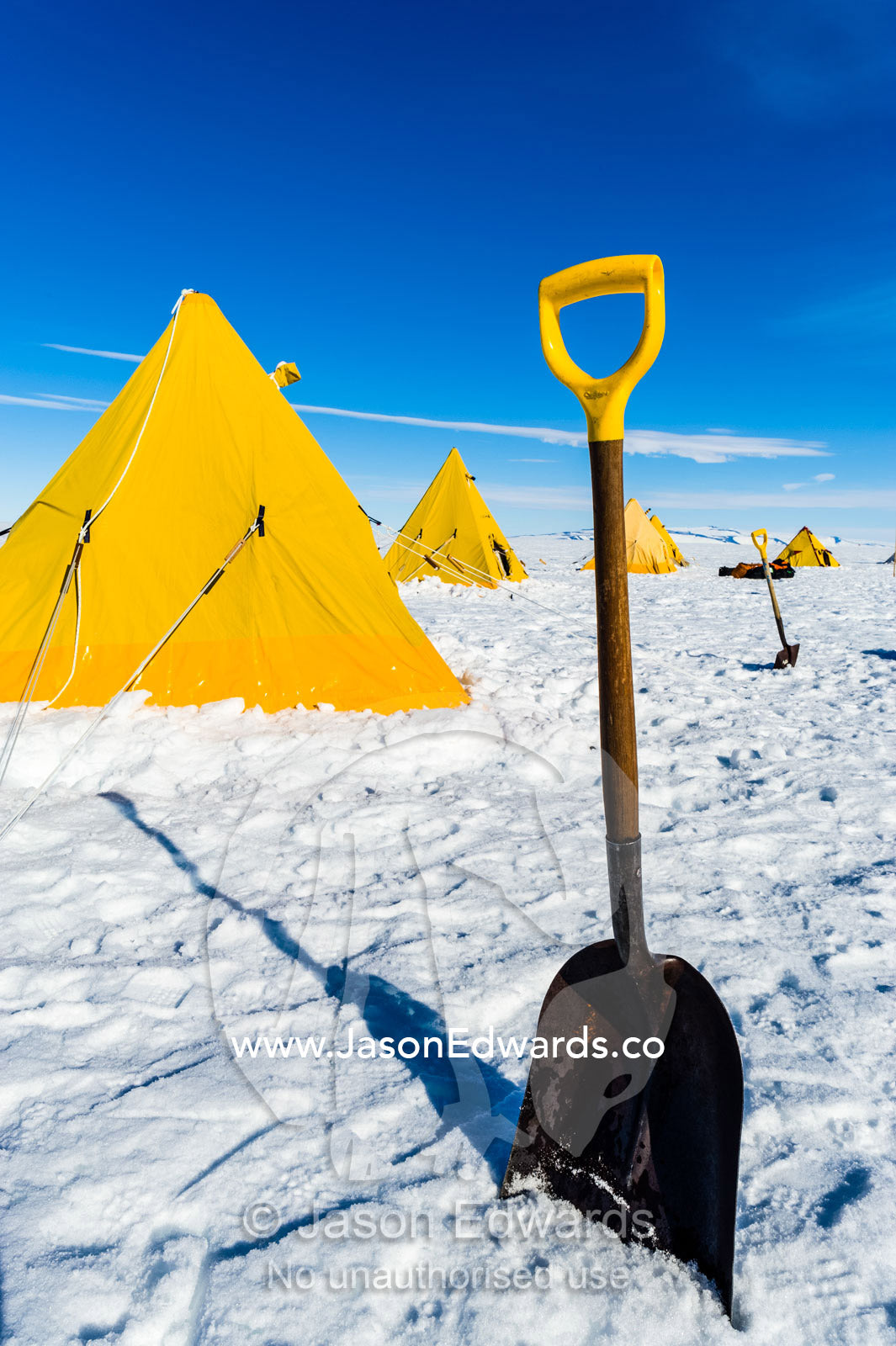 Bright yellow tents and a snow shovel lined-up on the Ross Ice Shelf during a survival training course. Windless Bight, Ross Ice Shelf, Ross Island, Antarctica.