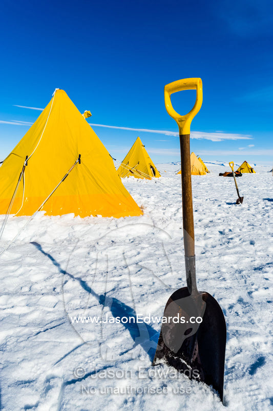 Bright yellow tents and a snow shovel lined-up on the Ross Ice Shelf during a survival training course. Windless Bight, Ross Ice Shelf, Ross Island, Antarctica.